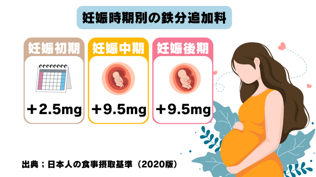 妊娠初期・中期・後期ごとの鉄分必要量を示すインフォグラフィック。初期2.5mg、中期・後期9.5mgと解説。