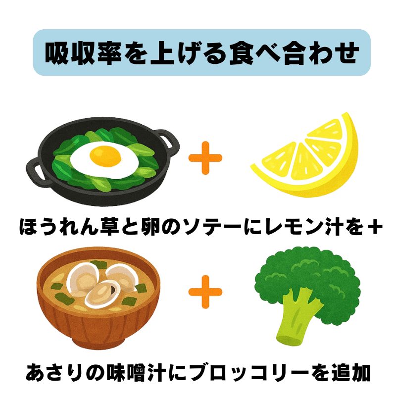 鉄分吸収率を高める食べ合わせの例。ほうれん草と卵のソテーにレモン汁を加える、あさりの味噌汁にブロッコリーを加える工夫を紹介。