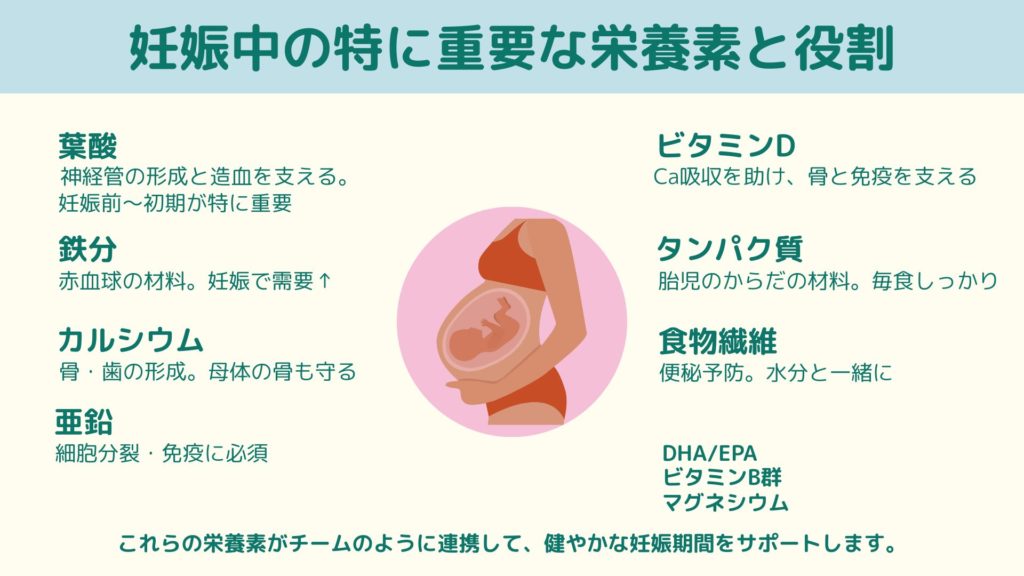 「妊娠中に必要な栄養素と役割をまとめた図解。中央に妊婦と胎児のイラスト、左側に葉酸・鉄分・カルシウム・亜鉛、右側にビタミンD・タンパク質・食物繊維・DHA/EPAなどの栄養素名と簡単な効能説明を掲載。