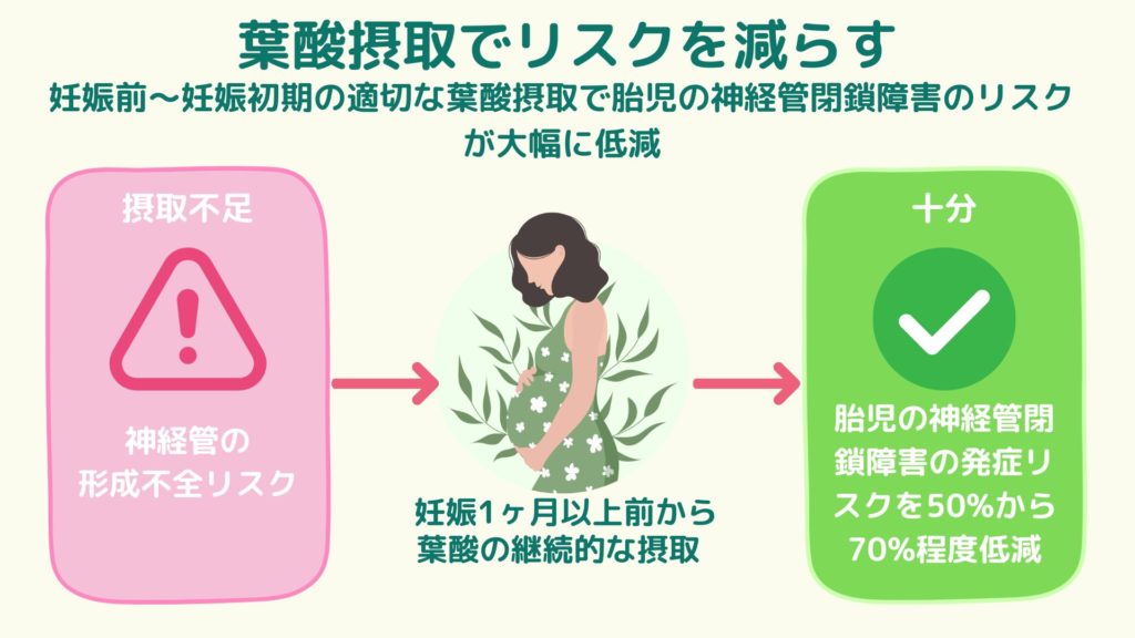 「妊娠前〜初期の葉酸摂取で胎児の神経管閉鎖障害リスクを低減する流れを示す図。左に摂取不足による危険マーク、中に妊婦のイラスト、右に十分な摂取でリスクが50〜70%低減することを示すチェックマークと説明。