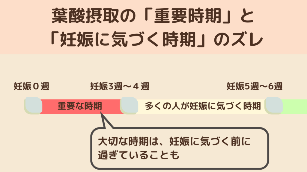 妊娠週数と葉酸摂取の重要時期のズレを示す図。妊娠0週から3〜4週の期間が赤色で『重要な時期』と示され、その後の妊娠5〜6週に『多くの人が妊娠に気づく時期』と表示。吹き出しで『大切な時期は、妊娠に気づく前に過ぎていることも』と書かれている。
