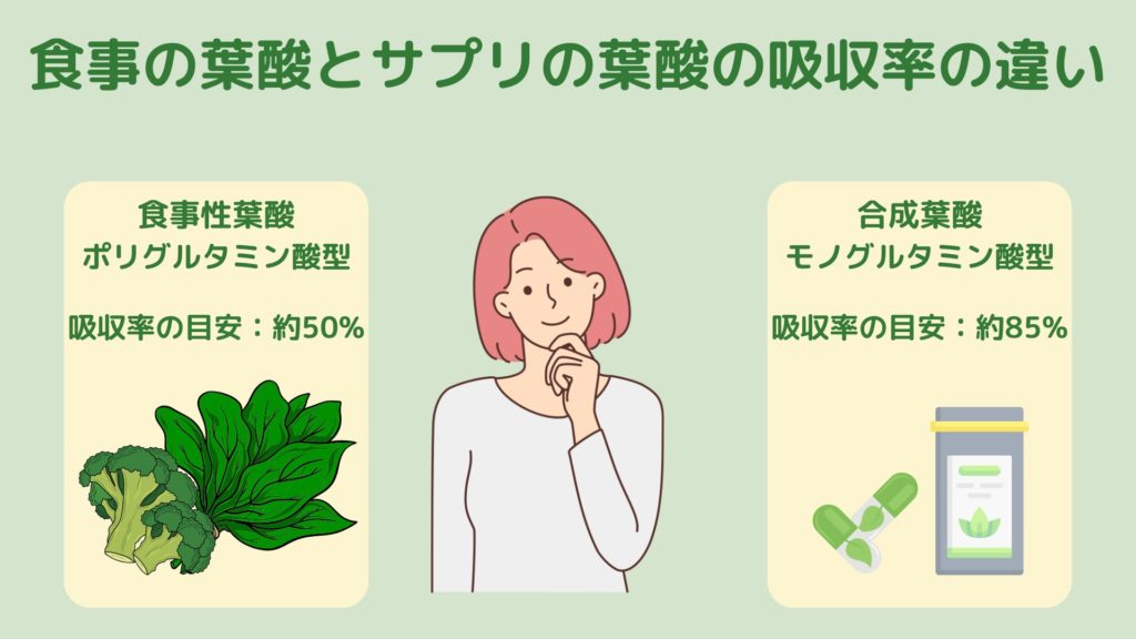 食事由来の葉酸とサプリメント由来の葉酸の吸収率の違いを比較する図。左はブロッコリーとほうれん草で吸収率約50％、右はカプセルとボトルで吸収率約85％と示されている。
