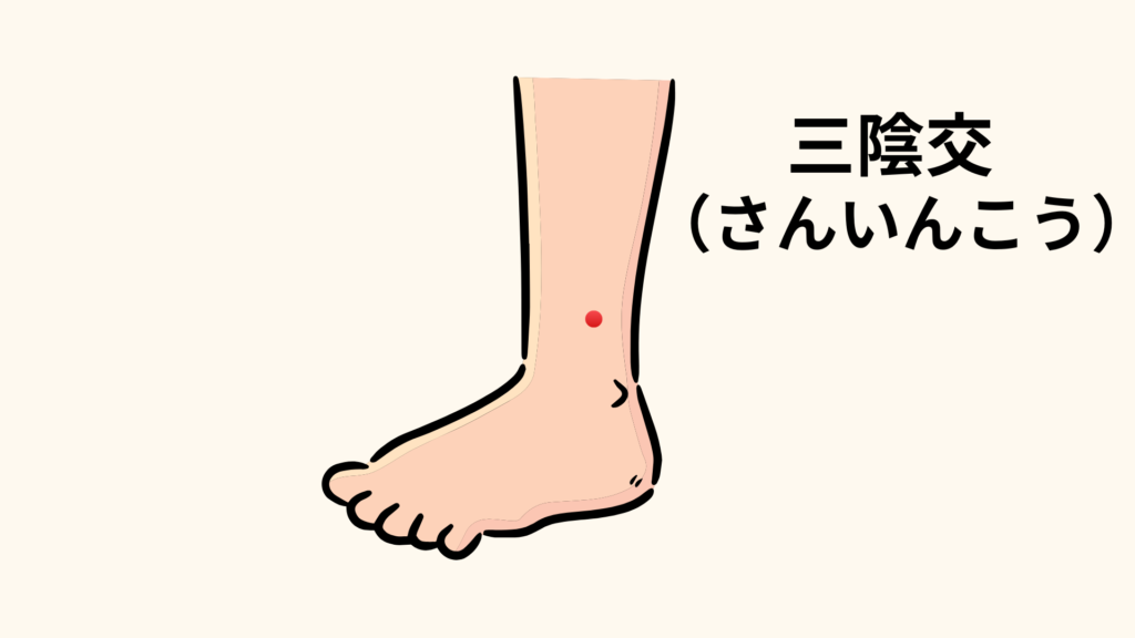 三陰交の位置：内くるぶしから指4本分上のすね内側